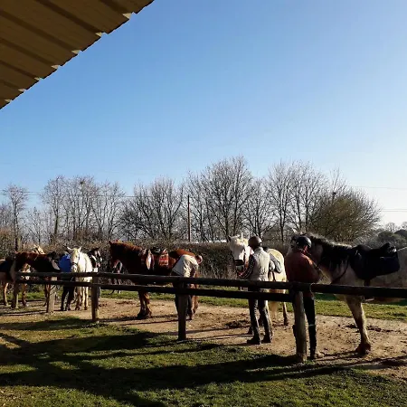 La Ferme Des Tertres Bed & Breakfast