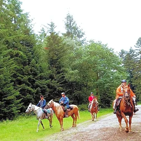 Bed & Breakfast La Ferme Des Tertres