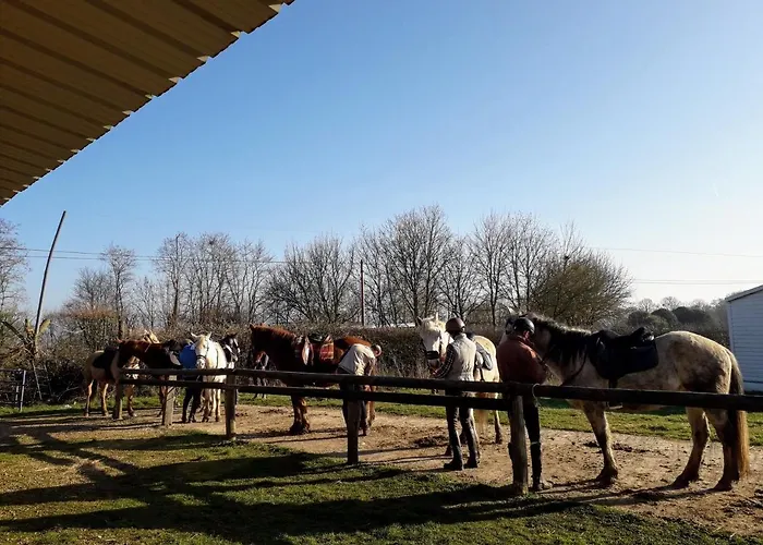 La Ferme Des Tertres Отель типа 