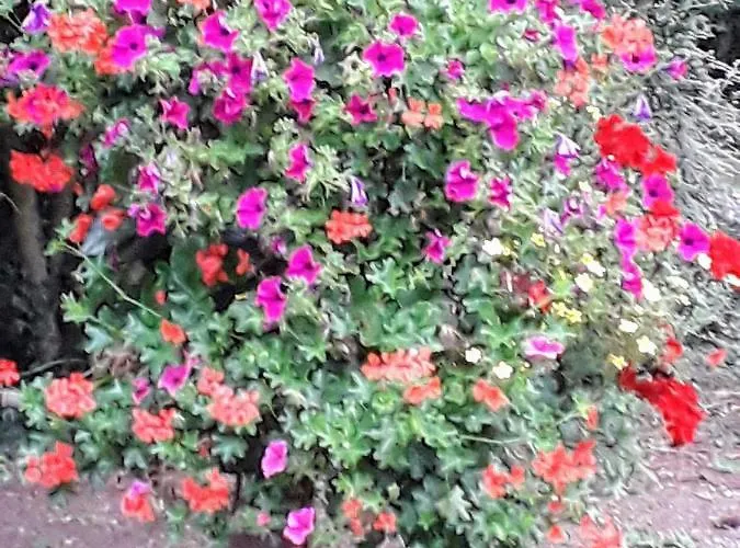 La Ferme Des Tertres Отель типа 