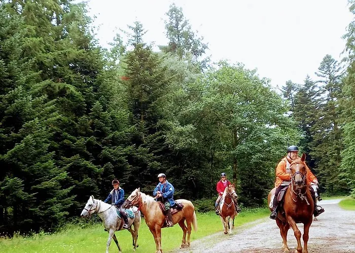 La Ferme Des Tertres 3* La Chapelle-pres-Sees